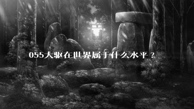 055大驱在世界属于什么水平?